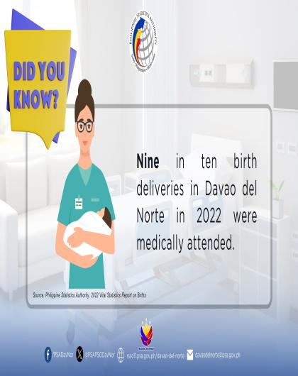 Nine in ten birth deliveries in Davao del Norte in 2022 were medically attended.