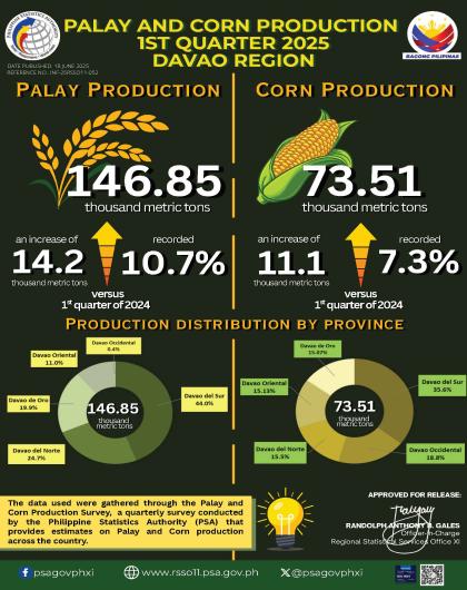 Palay and Corn Production 1st quarter 2025 - Davao Region