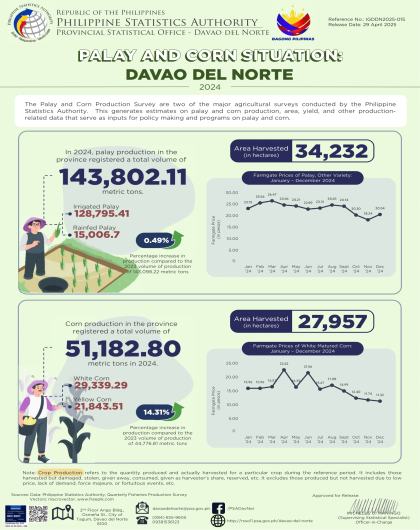 Palay and Corn Production